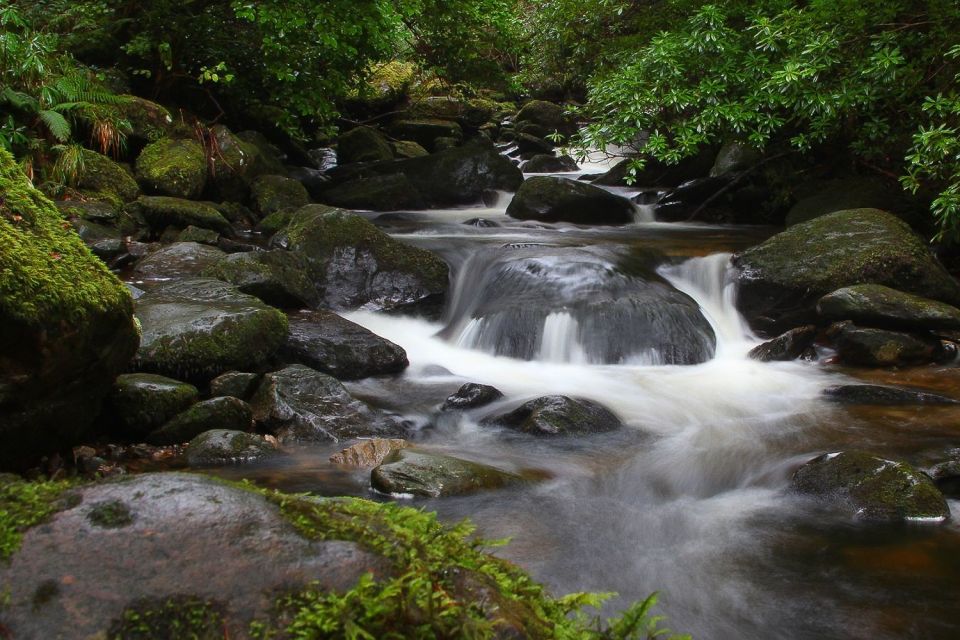 Ring of Kerry: Full-Day Tour From Killarney - Transportation and Meeting Point