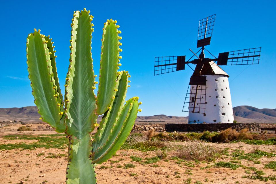 Romantic Fuerteventura Stroll: Historic Sites & Seaside Walk - Visiting Casa Museo Miguel De Unamuno