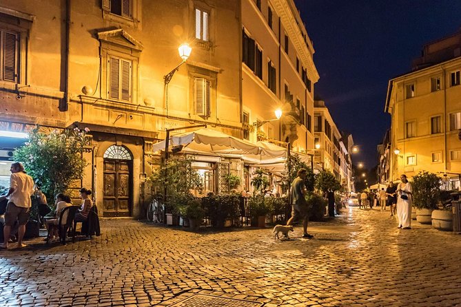 Rome by Night: Private Tour With Driver - Accessibility and Participation