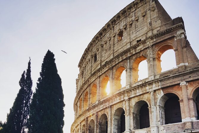 Rome: Guided Tour of the Colosseum - Meeting Point and Logistics