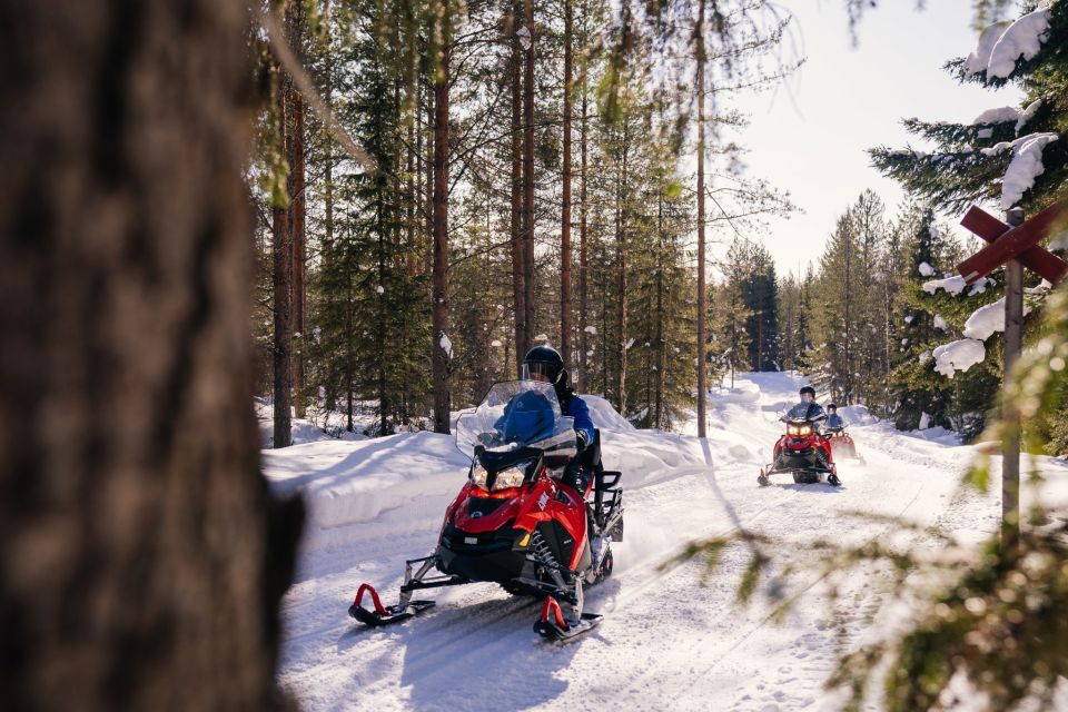 Rovaniemi: 4-Hour Snowmobile Safari - Driving Restrictions