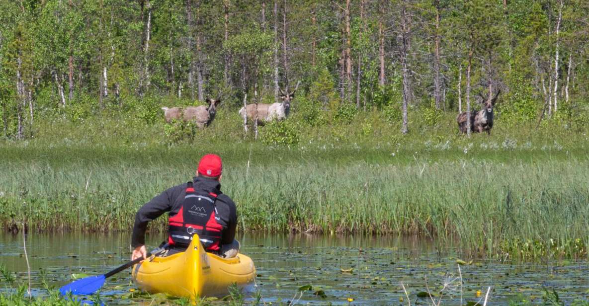 Rovaniemi: Authentic Reindeer Farm & Canoeing - Canoeing Activity