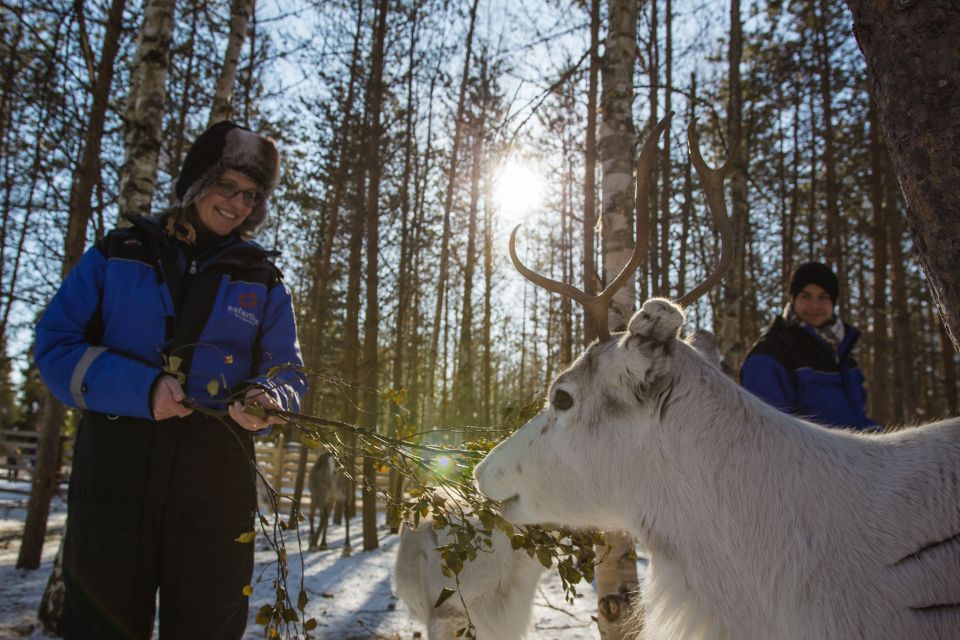 Rovaniemi: Evening Reindeer Safari - Inclusions