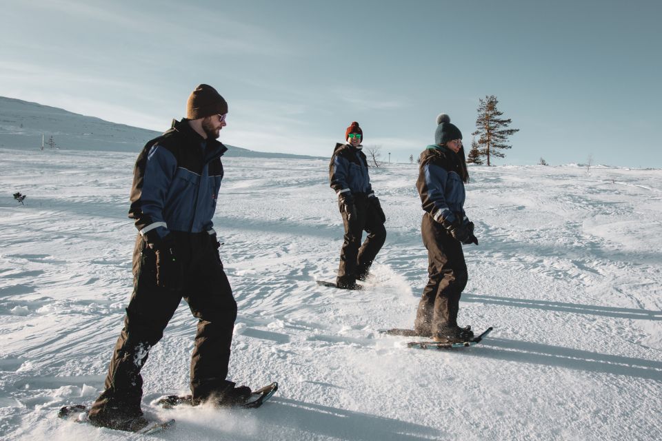 Rovaniemi: Guided Lappish Wilderness Snowshoeing Adventure - Whats Included in the Tour