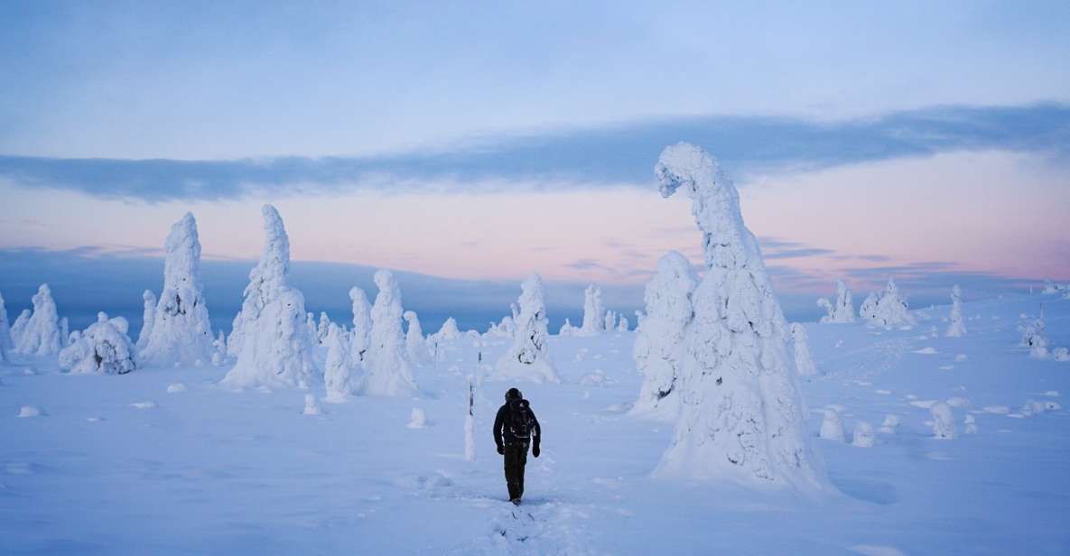 Rovaniemi: Riisitunturi National Park Day Trip With Lunch - Tour Highlights