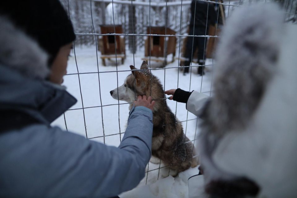 Rovaniemi: Santa Claus Village Tour Huskies & Reindeer Visit - Meet Santa Claus