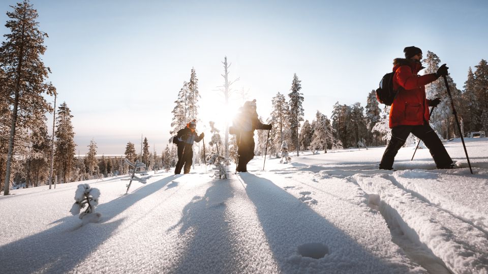 Rovaniemi: Ski Trekking Safari in Lapland - Learning About Arctic Life