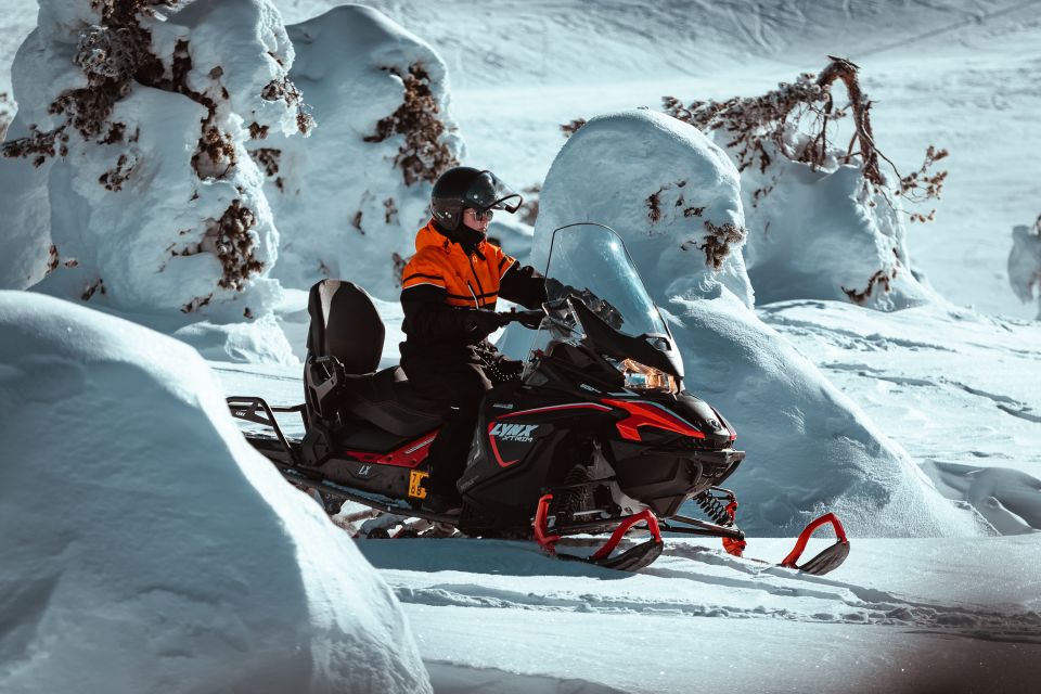 Saariselkä: Snowmobile Adventure for Adults - Solo Driving Experience