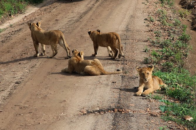 Safari And Beach Vacations - Accessibility and Participation