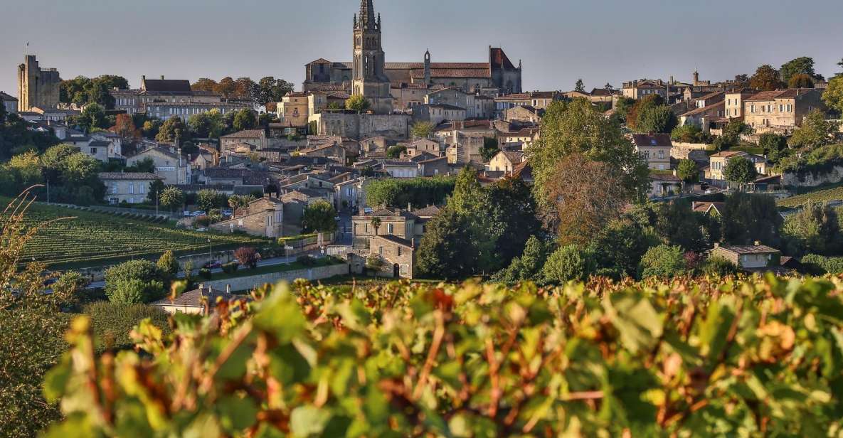 Saint-Emilion: Full-Day Tour With Tasting & Buffet Lunch - Tastings and Lunch