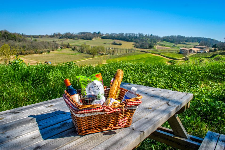 Saint-Emilion: Grand Cru Classified Guided Winery Visit & Picnic - Winemaking Process