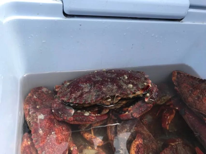 San Francisco: Crab & Cook Under the Golden Gate Bridge - Cooking a Traditional Crab Boil