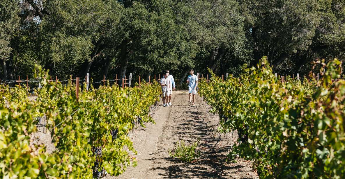 San Francisco: Half-Day Wine Country Excursion With Tastings - Winery Visits and Tastings