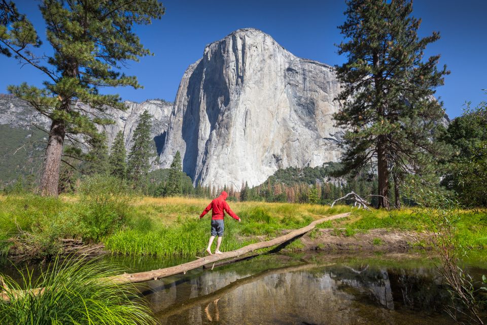 San Francisco To/From Yosemite National Park: 1-Way Transfer - Inclusions in the Transfer