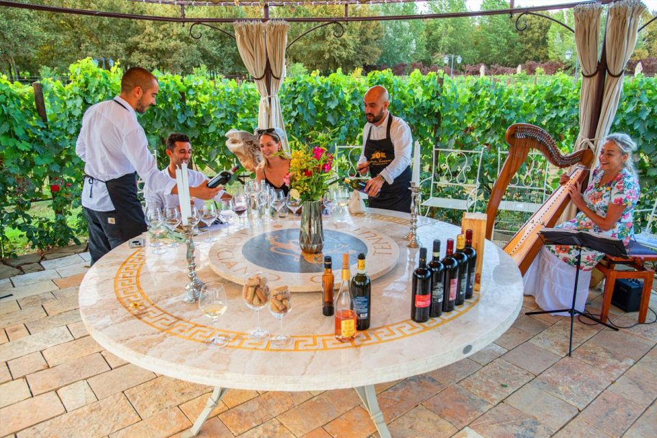 San Gimignano: Exclusive and Private Canopy Dinner in Winery - Amenities