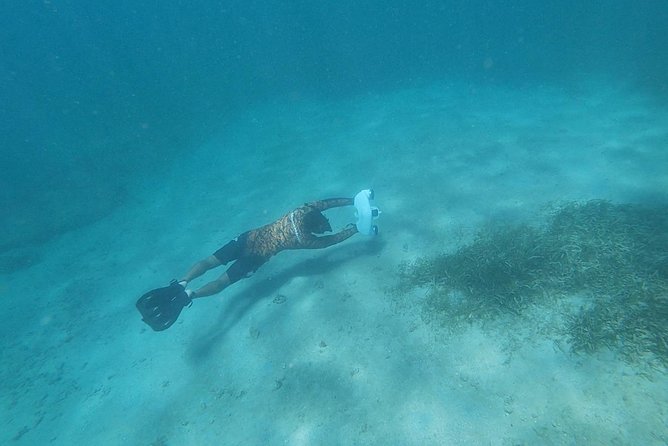 San Juan Turtle Spotting Snorkel Adventure With Videos - Cancellation Policy