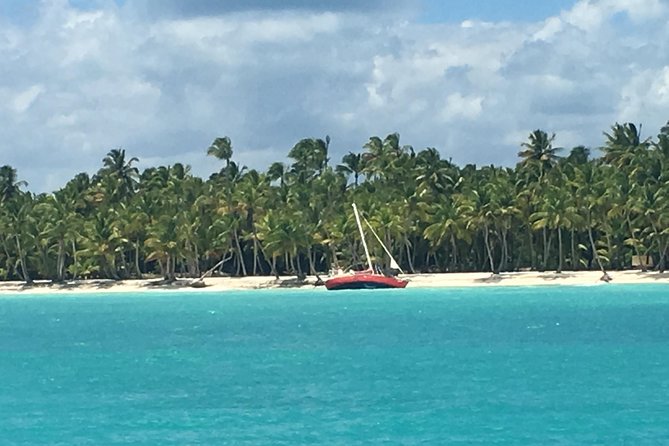 Saona Island Tour - Tour Recommendations