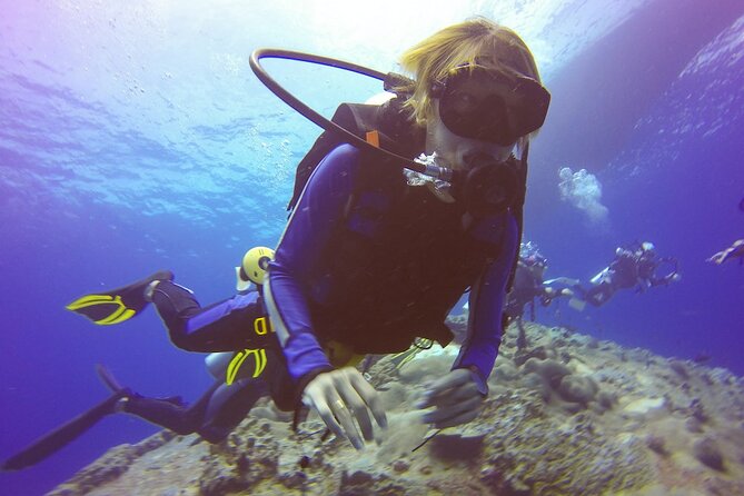 Scuba Diving Tour in Antalya With Lunch and Transfer - Two Shallow Dive Excursions