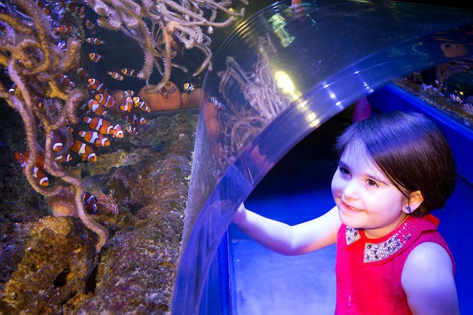 SEA LIFE Manchester Admission Ticket - Exploring the Exhibits