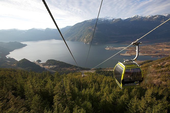 Sea to Sky Gondola Ticket - Hiking Trails and Suspension Bridge