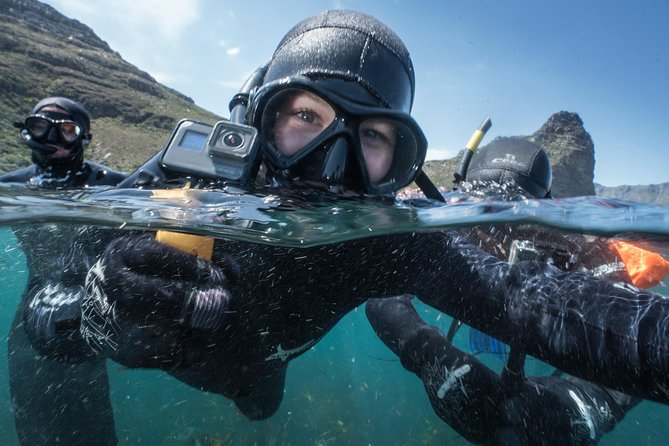 Seal Snorkeling With Animal Ocean in Hout Bay - Swimmer Recommendations