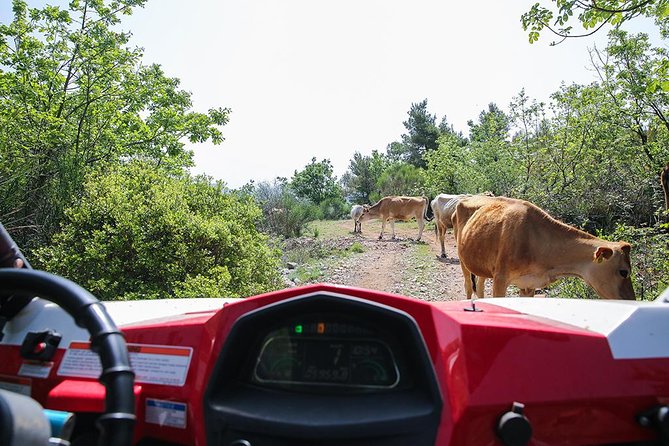 Self-drive Off Road Buggy - Exploring Mount Srđ