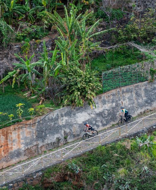 Self-Guided E-Bike Tour - Ponta De São Lourenço to Funchal - Itinerary and Experience