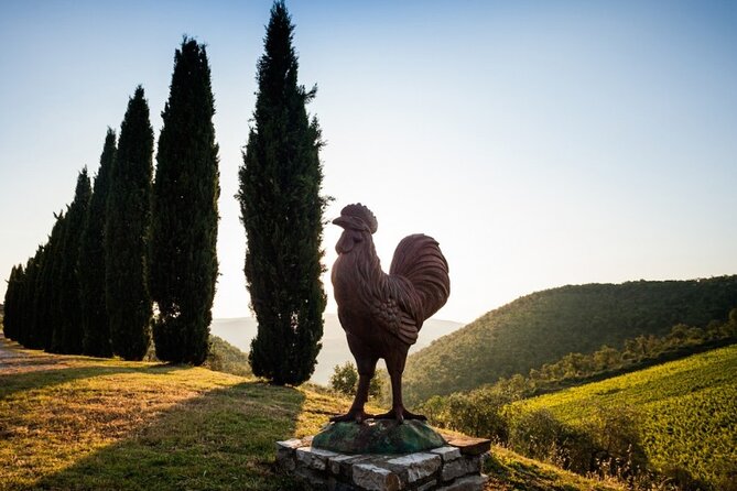 Semi Private Deep Wine Chianti and San Gimignano From Florence - Wander Through San Gimignano