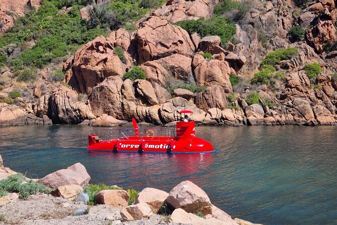 Semi-Submarine: Visit to the Seabed of Porto Bay - Accessibility and Participation