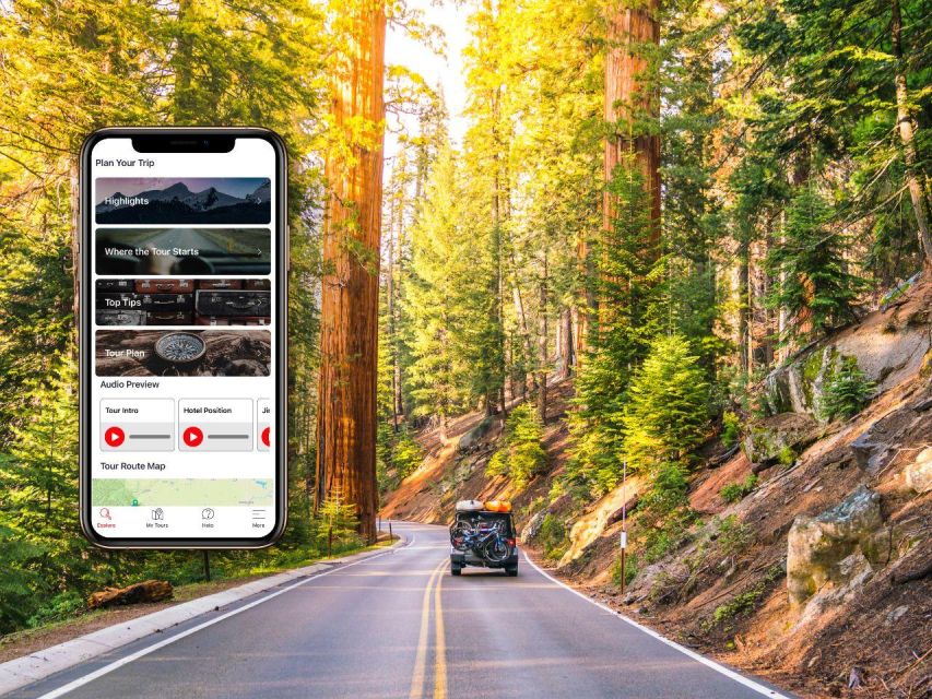 Sequoia & Kings Canyon: Self-Guided Audio Driving Tour - Flexible Audio Experience