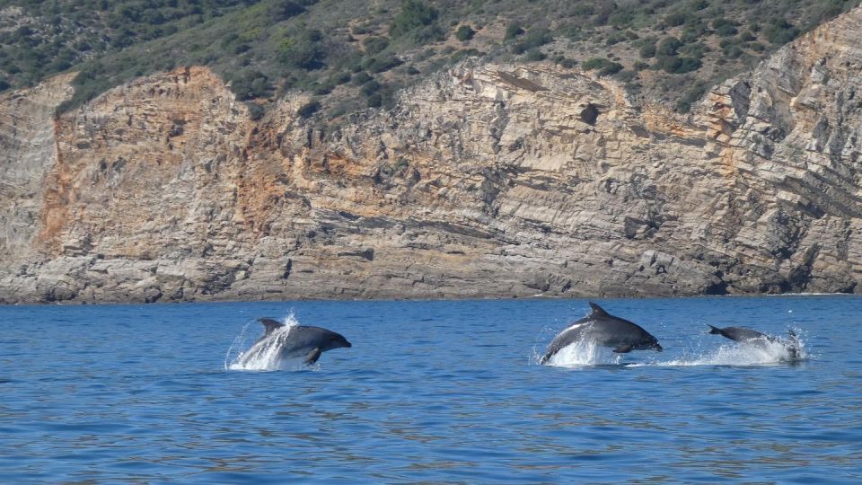 Sesimbra: Private Dolphin Watching Tour Arrábida Natural Park - Inclusions in the Tour