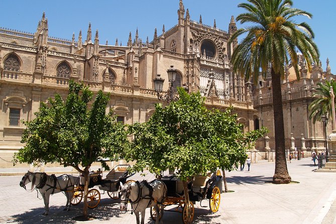 Seville: Cathedral & Giralda Guided Tour With Tickets - Customer Feedback