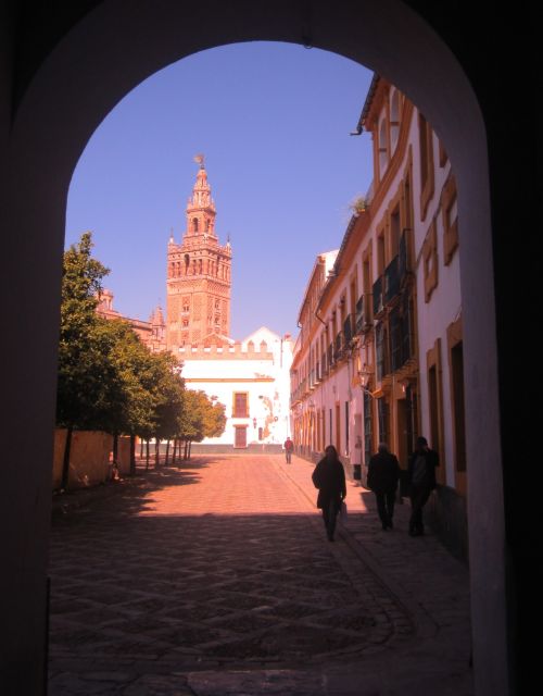 Seville Full-Day Sightseeing Tour From Granada - Tour Highlights