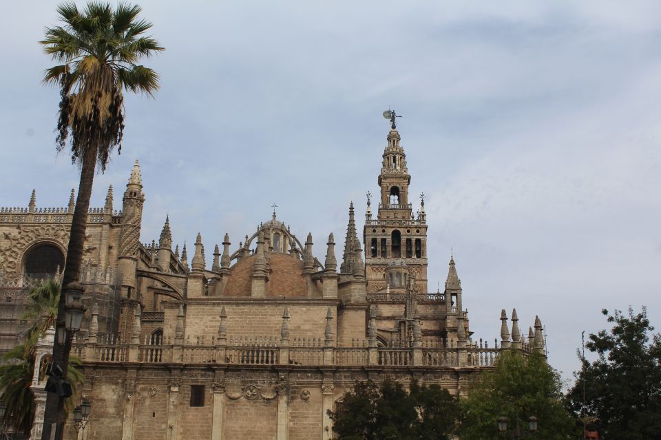 Seville Orientation Tour - Highlights of the Tour