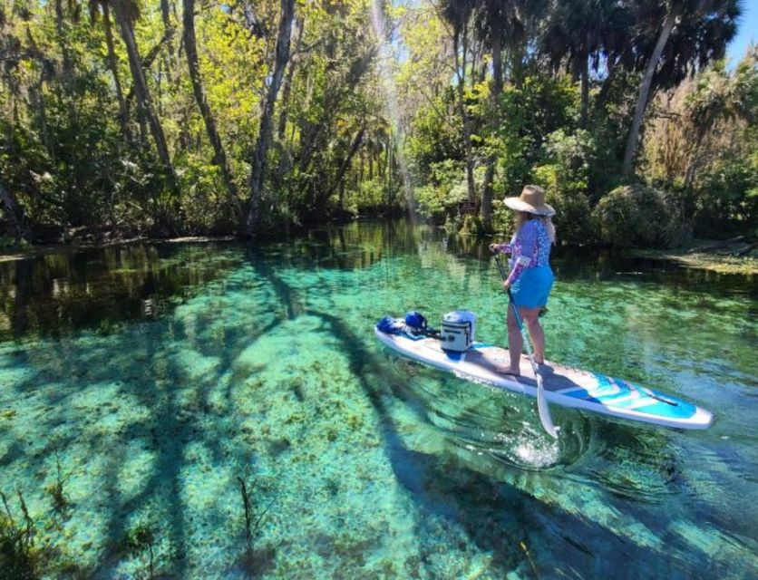 Silver Springs: Manatees and Monkeys Clear Kayak Guided Tour - Vessel Options