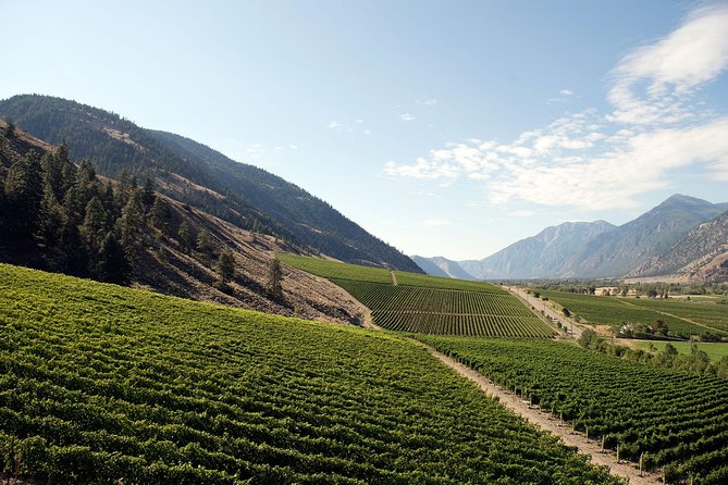 Similkameen Valley Wine Tour - Classic - 4 Wineries - Accessibility and Accommodations