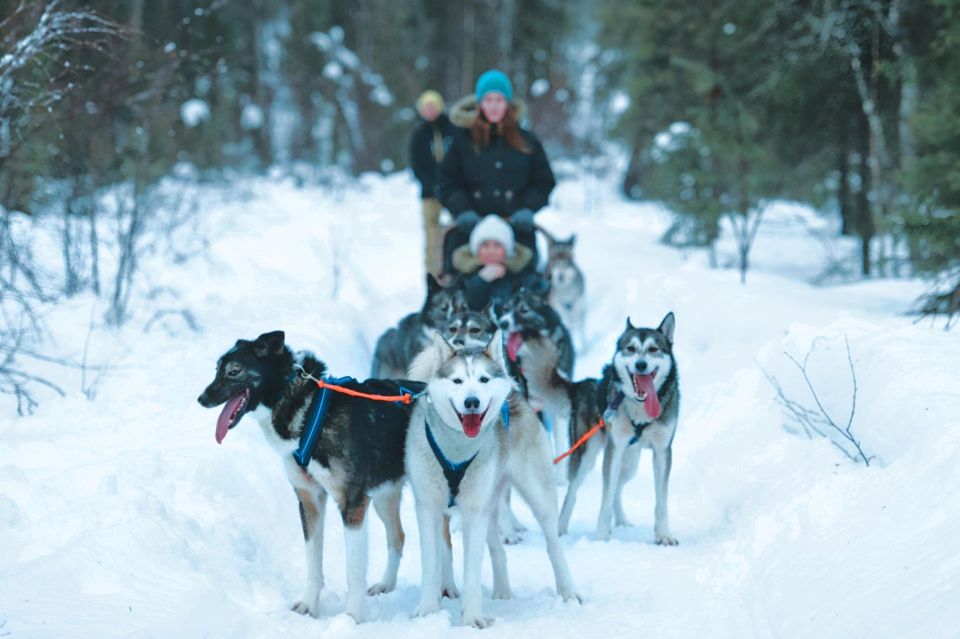 Sirkka: Husky Sled Ride in Levi - Inclusions and Exclusions