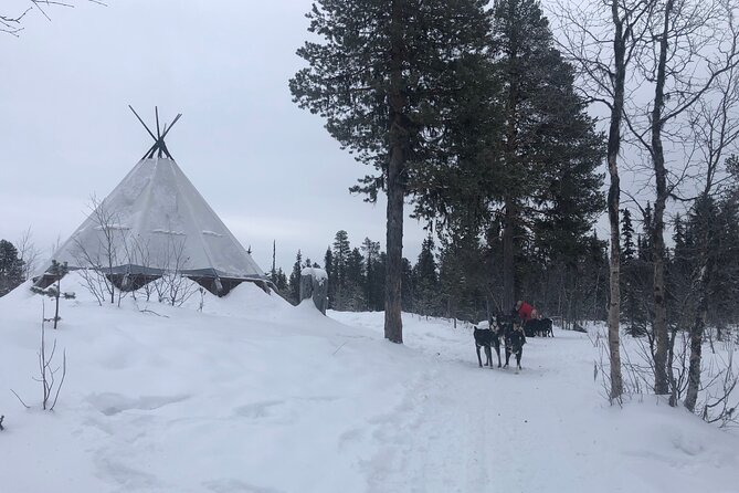 Sit Back and Relax Morning Husky Tour - Cancellation and Refund Policy