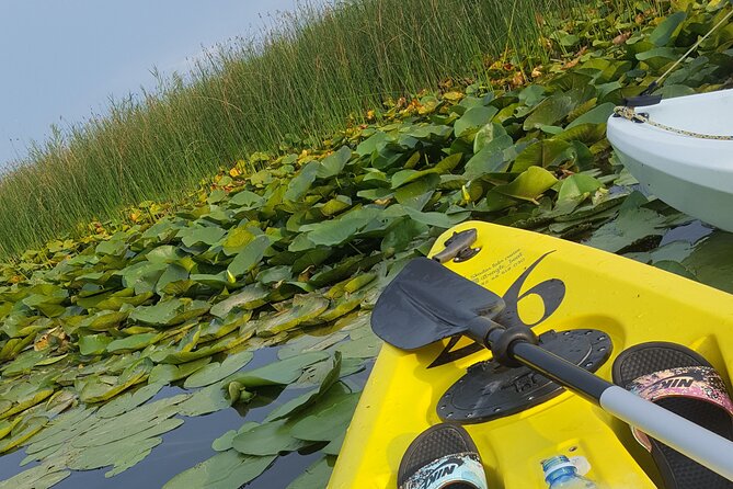 Skadar Lake Official - Kayak Tour - Additional Details