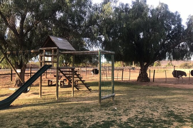 Skip the Line: Highgate Ostrich Farm Tour Ticket - Additional Information