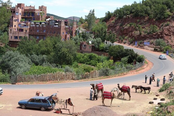 Small Group Day Trip to Ourika Valley & Atlas Mountains - Discovering the Seven Waterfalls of Setti Fatma