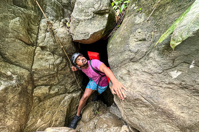 (Small-Group) El Yunque Tour With Transportation / 7AM or 12PM - Age and Physical Fitness Requirements