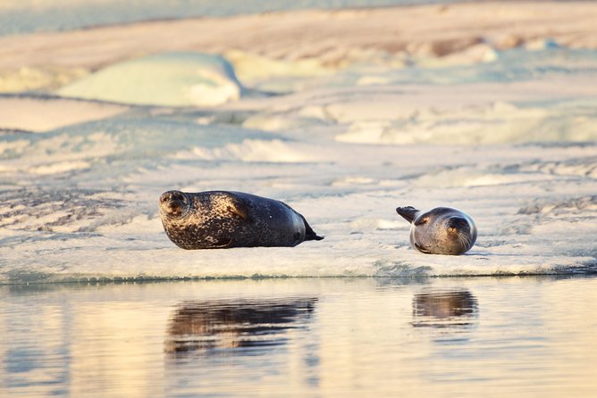 Small-Group Glacier Lagoon (Jokulsarlon) Day Trip From Reykjavik - Exploring Glacier Lagoon