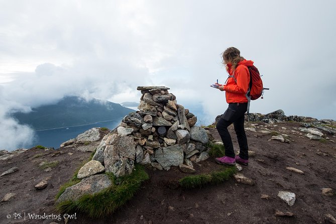 Small-Group Hiking Tour From Tromsø - Foraging for Wild Berries