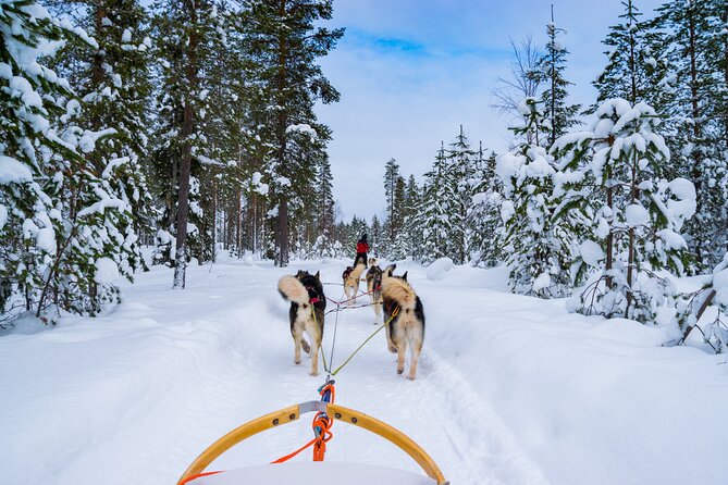 Small-Group Husky Mushing Experience in Rovaniemi - Pickup Details