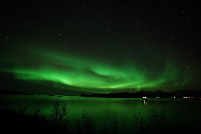 Small Group Northern Lights Chase From Tromso - Guest Reviews