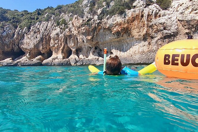 Snorkeling Experience to Discover the Dolphin Inside You! - Private Transportation Included