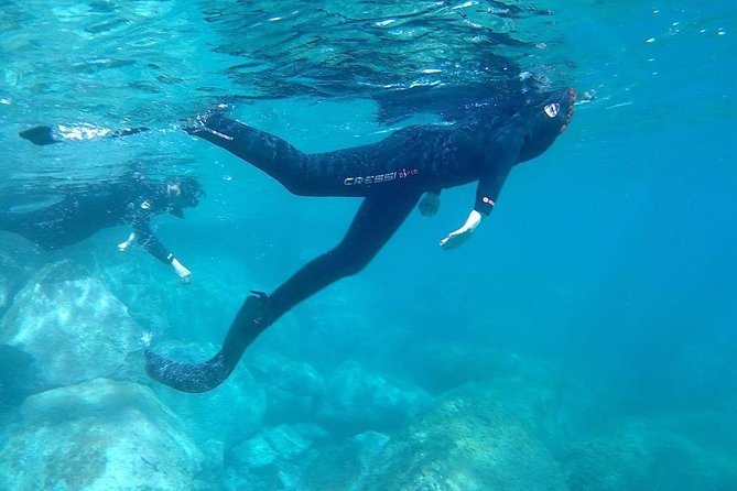 Snorkeling in Gran Canaria With Hotel Pick-Up - Transportation Arrangements