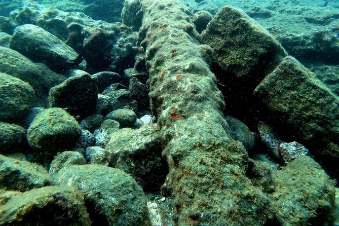 Snorkeling in Vila Franca Do Campo - Additional Information