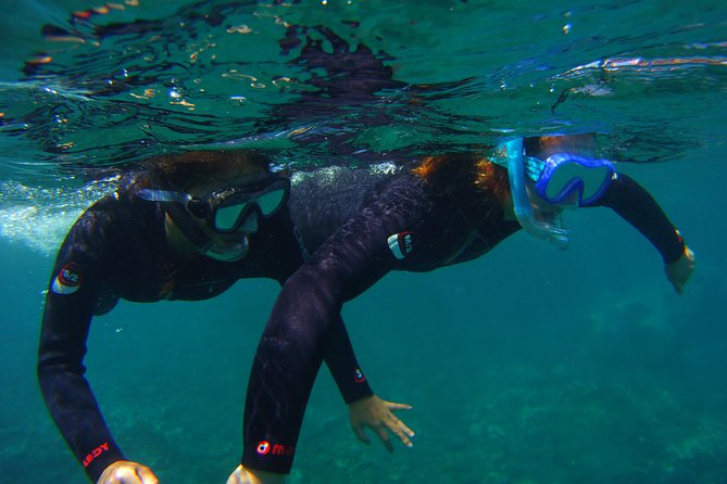 Snorkeling Tour With Sea Turtles and Stingrays - Accessibility and Transportation